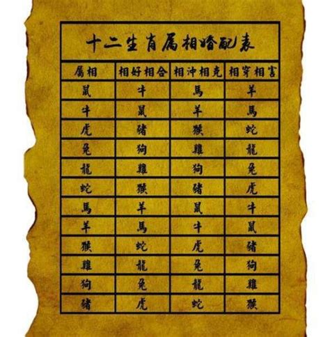 1994年生肖|94年属什么的生肖多大了 94年属什么的生肖和什么配